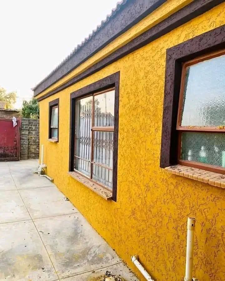 Gamazine wall finish Lonehill